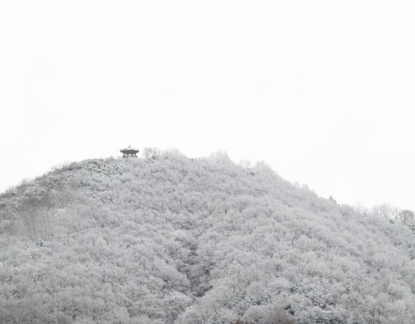 낮과 밤의 길이가 같다는 ‘춘분’인 21일, 전남 담양군 담양읍에 위치한 남산(233m)에 새하얀 눈으로 덮여 이색 장관을 연출하고 있다.