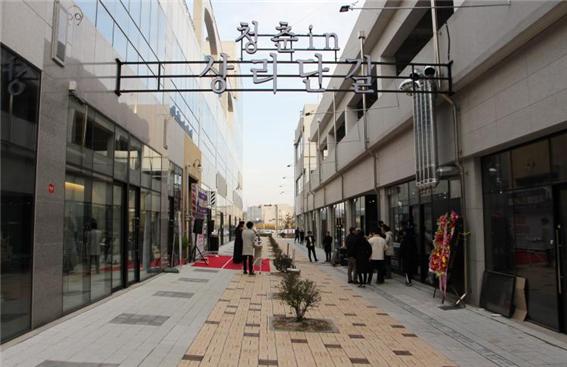 지난 8일 개장한 나주 빛가람혁신도시 청년창업몰 '청춘in상리단길' 거리 모습이다.