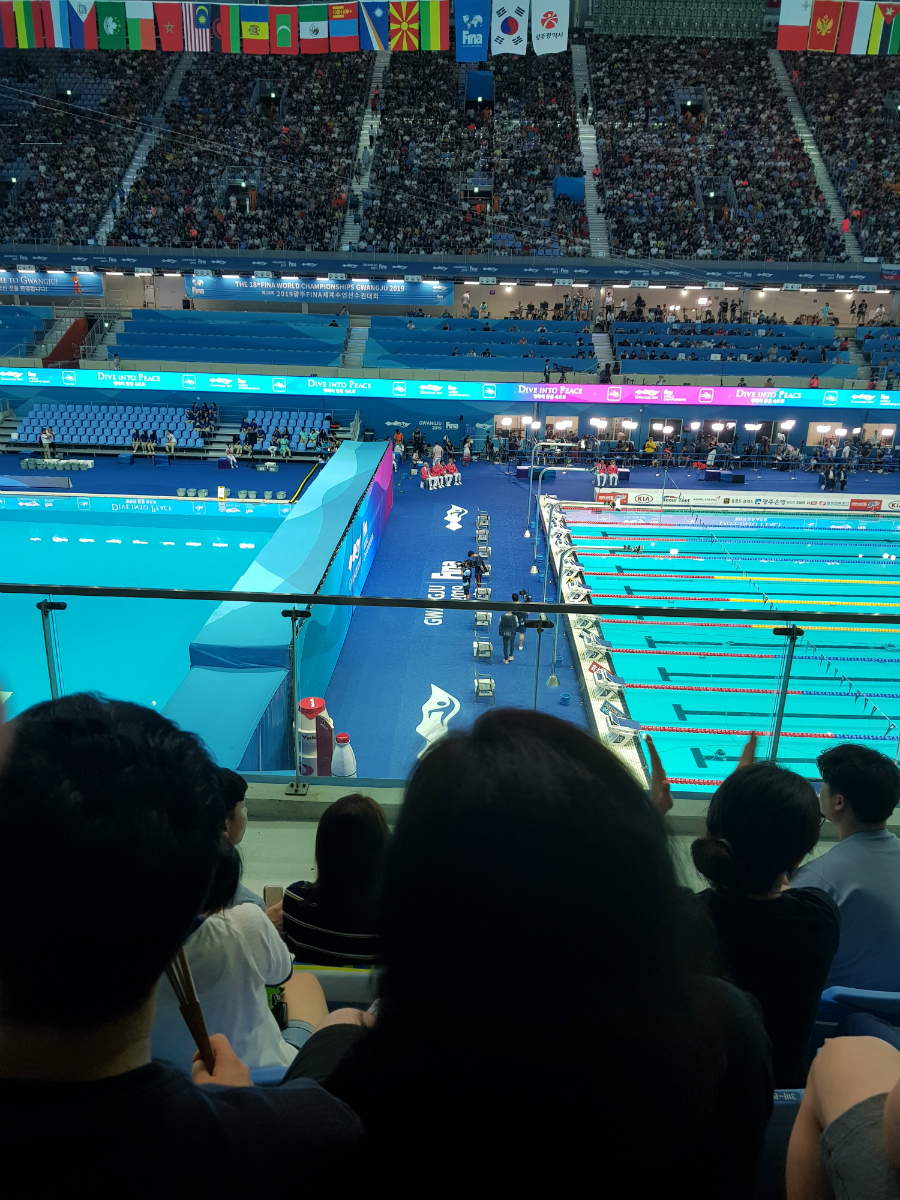 광주세계수영대회가 열린 남무대 수영장 관중석을 메운 관람객