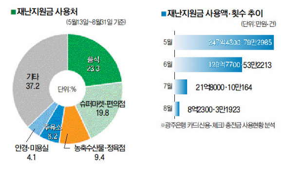 재난지원금 사용처 현황 분석 결과 / 광주은행