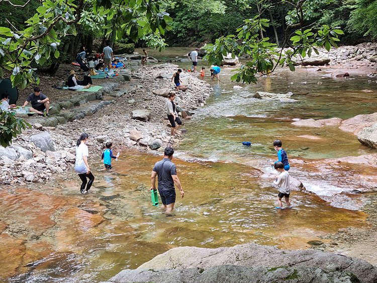 광주와 전남 일부 내륙지역에 폭염특보가 내려진 11일 순창군 강천사 계곡에는 어린이들이 가족들과 함께 물놀이를 하고 있다.