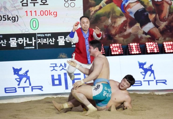 한라장사 결승전에서 상대를 제압하고 있는 차민수 장사.