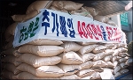 농민회 &#39통일쌀 보내기&#39 추진