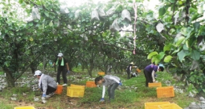 나주교육지원청, 태풍피해농가 복구 작업 참여