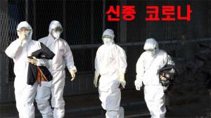 JP모건 "한국 코로나 사태 3월 20일 정점 찍고, 최대 1만명 감염"