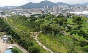 전남도, 377억 들여 '기후대응 도시숲' 조성