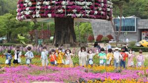 함평군-한국관광공사, '나비대축제 이벤트' 운영