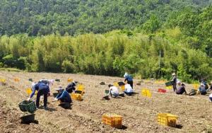 “농사철 일손부족에 장흥군 공무원이 나섰다”