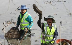 강진군, 백년 전통 어업 유산 ‘가래치기’ 행사 열어