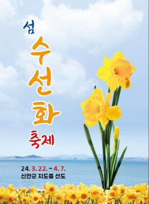2백만 송이의 봄꽃 향연, ‘2024 섬 수선화 축제’