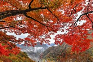 11월 첫주 광주·전남 완연한 가을 날씨