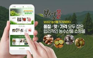 보성군, 농특산물 온라인 쇼핑 ‘보성몰’ 2배 껑충
